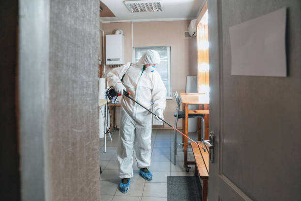 Best Forensic Mold Investigation  in Tubac, AZ